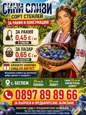 Продавам сини сливи стенлей, снимка 4 - Други - 55898914
