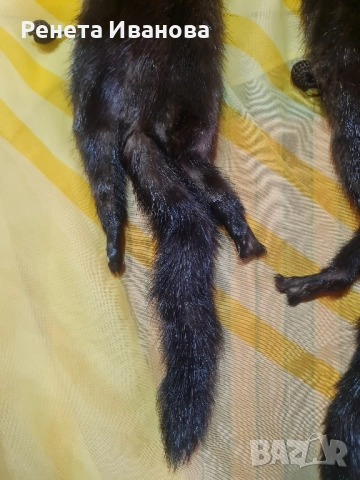 Много стара яка от норка , снимка 2 - Антикварни и старинни предмети - 52427698