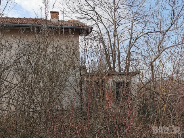 7  декара и 2 вили в Садовете гр.Лом, снимка 11 - Вили - 48773745