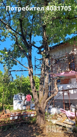 Черешово дърво за материал, снимка 2 - Дърводелски услуги - 51937942