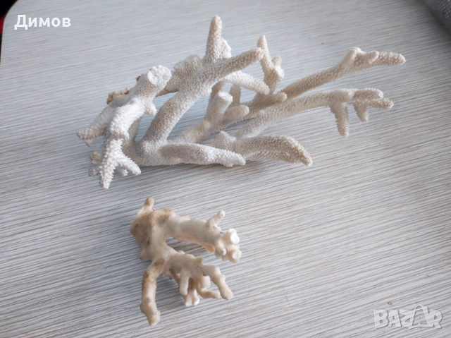 Естествени корали Корал Аквариум Декорация, снимка 2 - Други - 54075409