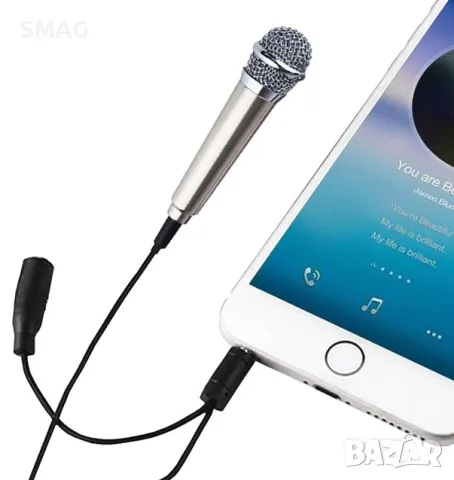 Мини микрофон за караоке сребрист 1.8x5.5см S_1203876