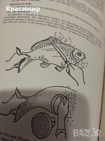 Уроци по битова икономика 1952 г., снимка 12 - Специализирана литература - 52255679