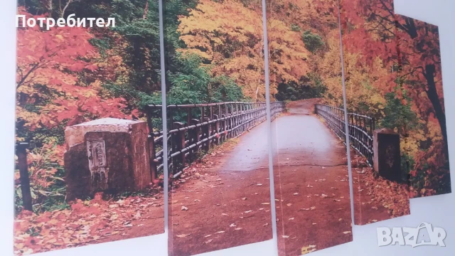 Картина, снимка 2 - Картини - 51297780