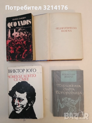 Парижката Света Богородица - Виктор Юго (с подвързия)