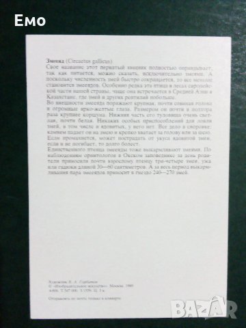За Ценители и Колекционери! Изключително редки и отлично запазени руски комплекти картички(3)!, снимка 12 - Колекции - 31367025