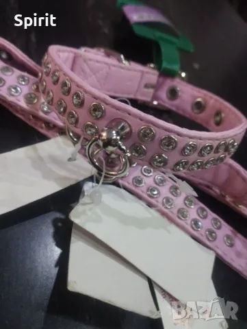 Каишка с камъни за мини и дребни породи кучета , снимка 2 - За кучета - 47809479