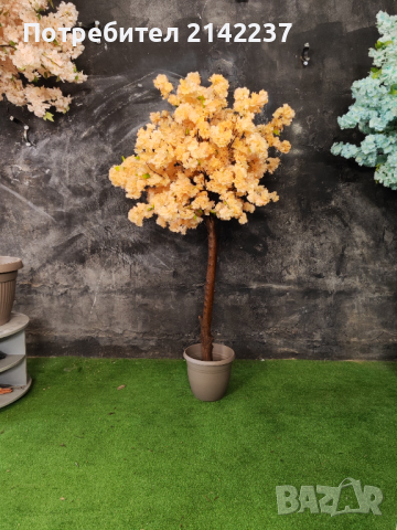 Изкуствени дръвчета , снимка 4 - Изкуствени цветя - 44702097
