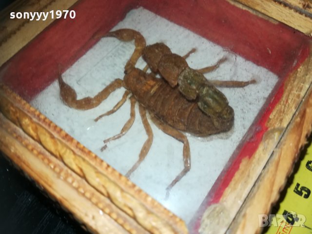 скорпион-внос france 1910201740, снимка 3 - Колекции - 30478693