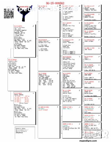 Продавам спортни гълъби , снимка 10 - Гълъби - 52929342