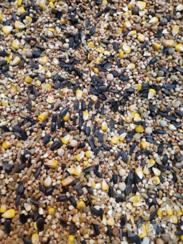 Смес/храна за гълъби silver