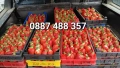 Побързайте – почти сме към края на сезона! Остават последни количества., снимка 13