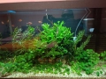 Напълно оборудван и работещ аквариум , снимка 5