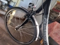 Колело Pegasus , снимка 5