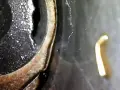 Opel zafira 2002г. 1.6 101к.с., снимка 3