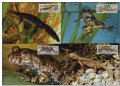 Чехословакия 1989 - 4 броя Карти Максимум - WWF, снимка 1 - Филателия - 38896633