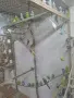 Продавам вълнисти папагали, снимка 3