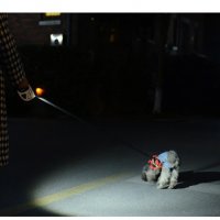 Автоматичен повод за куче - 20 / 50 кг. с вграден LED фенер, 1 год. гаранция, снимка 4 - За кучета - 32207743