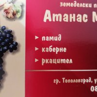 Продавам грозде сорт Каберне-1 лв -Тополовград, снимка 3 - Други - 29933115