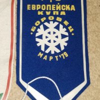 Флагчета на тема Ски, снимка 9 - Колекции - 31053019