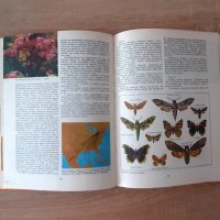 Животинският свят на Земята 1981г-детска енциклопедия, снимка 8 - Енциклопедии, справочници - 42776015