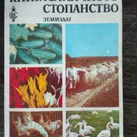 Стари книги и литература, снимка 4 - Специализирана литература - 38743270