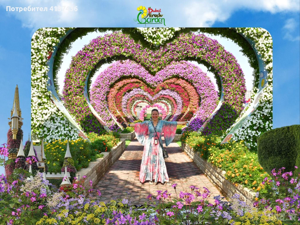 Екскурзодни услуги ОАЕ, снимка 1