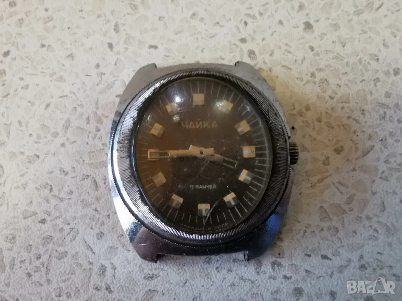 чайка стадион , снимка 1