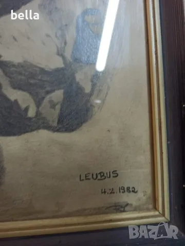 Рамкирана картина рисунка глава на кон 1989, снимка 3 - Картини - 47365713
