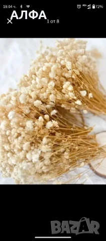 Сухи цветя за украса и аранжировка - гипсофил 