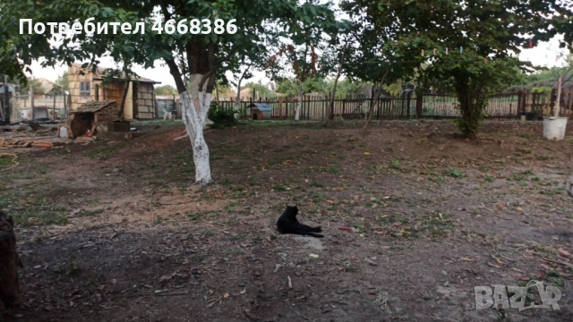 Investment Opportunity! For sale a wonderful two-story house-villa, partly renovated, снимка 15 - Вили - 52650432