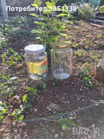 Буркани 0.35лв/използвани/  Покривка за спалня от времето на соца 35лв  в много добро съ