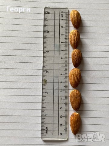 ЯДКИ - Сурови и Печени , снимка 7 - Хранителни добавки - 39330449