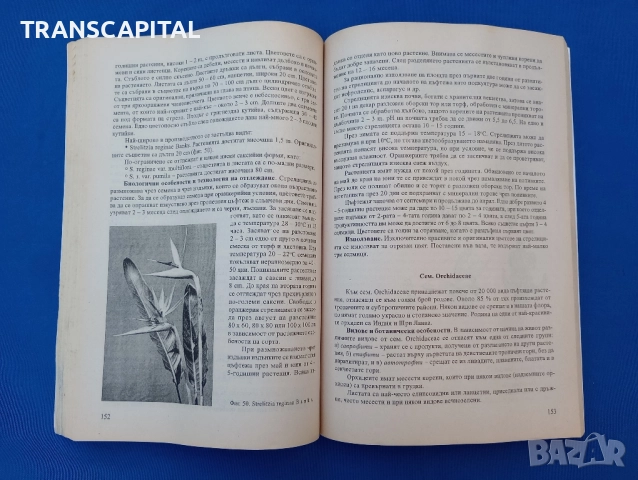 Цветарство , снимка 2 - Енциклопедии, справочници - 51846874