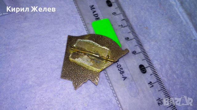 БПФК 1923-1944 Стара РЯДКА ЕМАЙЛИРАНА ПОСРЕБРЕНА БРОНЗОВА НРБ ЗНАЧКА 24870, снимка 2 - Колекции - 38465273