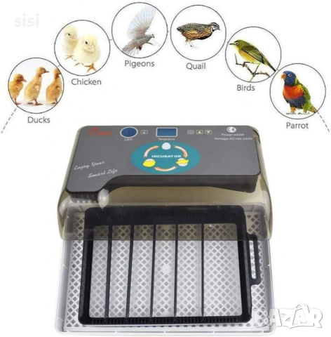 Автоматичен инкубатор за 12 яйца – Лесен за употреба YZ9-12, снимка 4 - За птици - 54201277