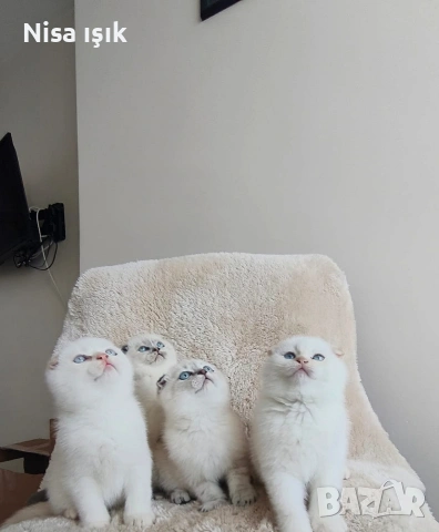 не сме красивички ние сме уникални в Хасково