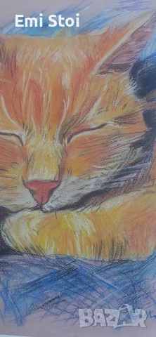 Картина с коте Рижко, снимка 4 - Картини - 56326769