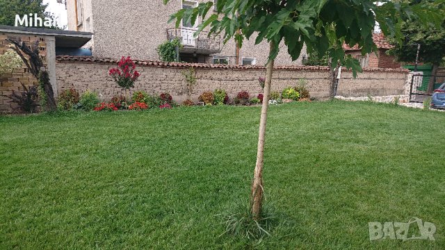 Засяване на райграс и тревни смески с професионална сеячна машина, снимка 7 - Други услуги - 42145541