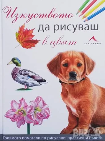 Изкуството да рисуваш в цвят