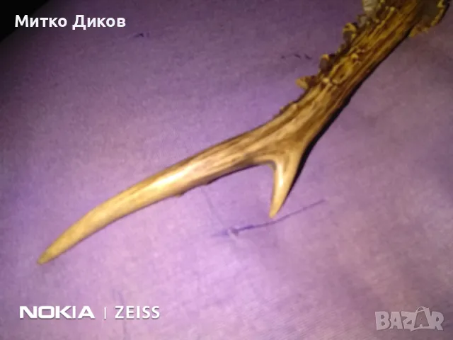 Дръжка за нож от еленов рог 225мм на 20мм отлична, снимка 5 - Ножове - 48001087