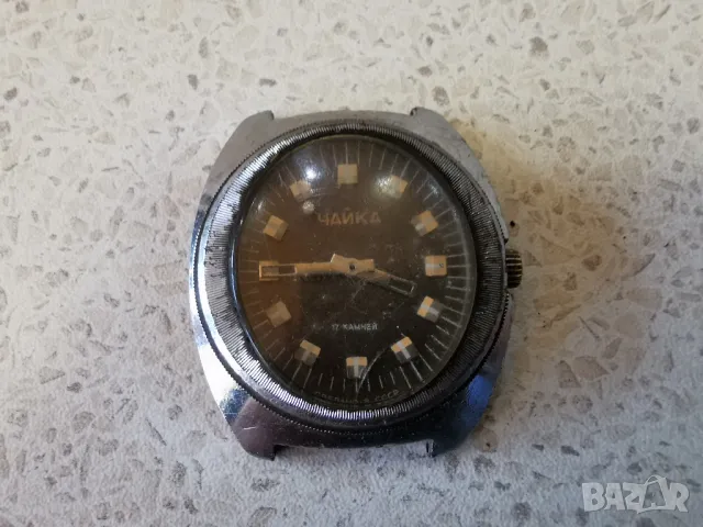 чайка стадион 