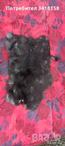 заешки кожички, снимка 10 - Други стоки за дома - 52962623