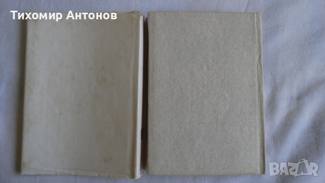 Пейо Крачолов Яворов - Подир сенките на облаците, снимка 10 - Художествена литература - 44671777