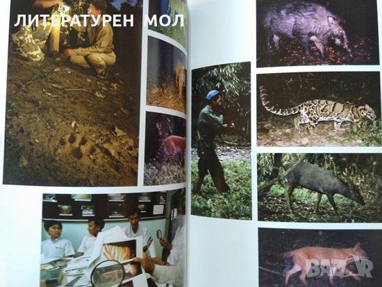 Life in the Valley of Death: The Fight to Save Tigers in a Land of Guns, Gold, and Greed 2008 г., снимка 8 - Специализирана литература - 29778462