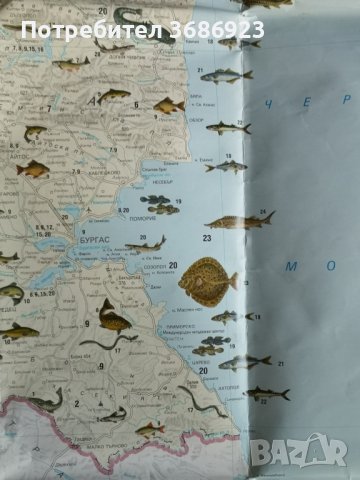 Рибите на България, снимка 4 - Екипировка - 42124800