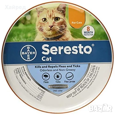 Нов Нашийник за котки Seresto: ефективна защита от бълхи и кърлежи