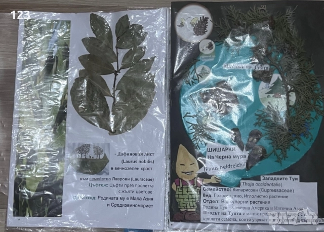 Хербарии, снимка 3 - Други услуги - 51619721