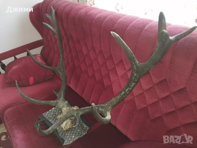 различни симетрични трофеи, снимка 17 - Антикварни и старинни предмети - 47085516