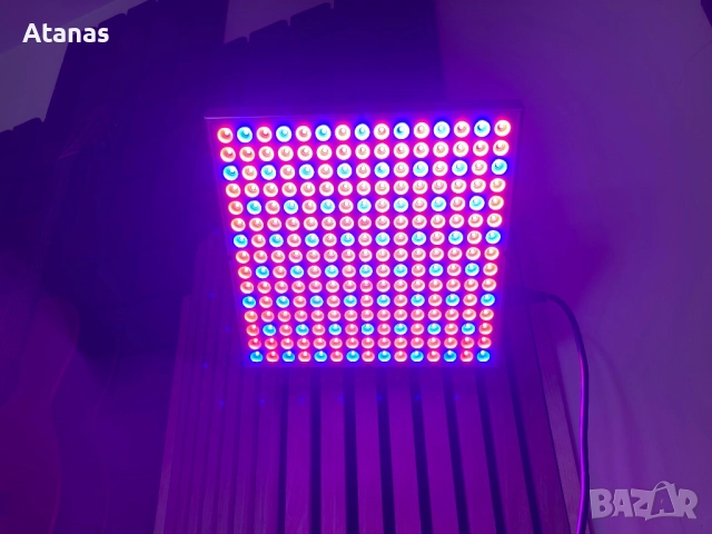 Светодиодни фито осветителни тела, снимка 3 - Лед осветление - 52024491